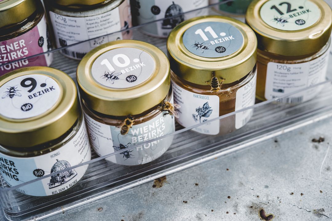 Wiener Bezirkshonig in Gläsern wird von echten Bienen umschwirrt